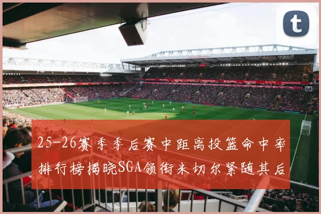 25-26赛季季后赛中距离投篮命中率排行榜揭晓SGA领衔米切尔紧随其后哈登位列第五